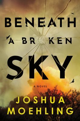 Image for Beneath A Broken Sky: A Novel
