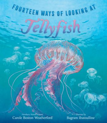 Image for Fourteen Ways Of Looking At Jellyfish